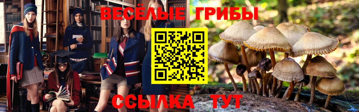 Галлюциногенные грибы мицелий Оренбург